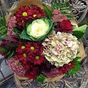Rich Autumn