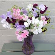 Scented Sweet Peas Vase