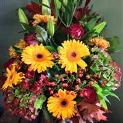 Welcome Autumn