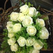 Twenty White Roses