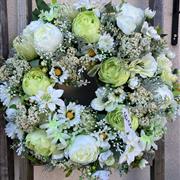 Cream, Lemon &amp; Lime shades