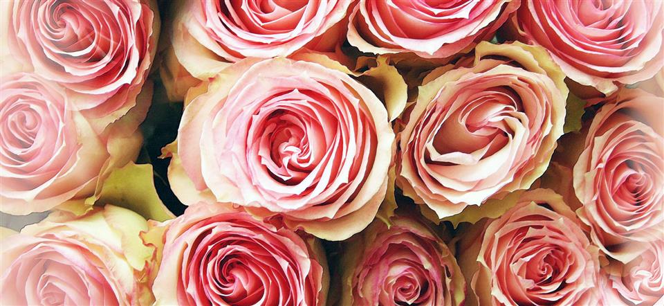 Greensleaves Florist