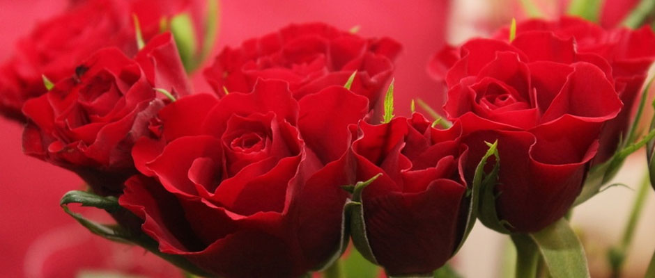 Greensleaves Florist